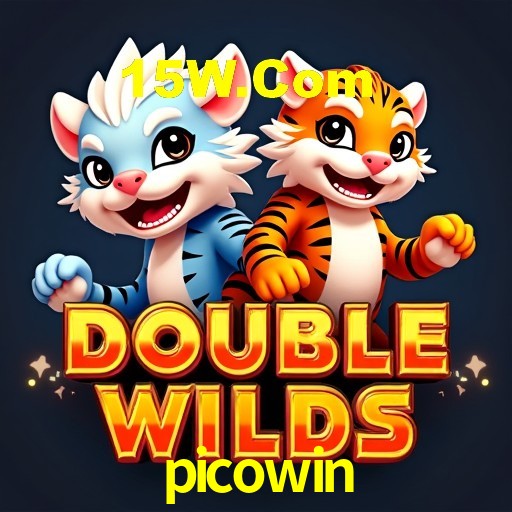 Casino VIP picowin