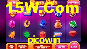 Premium Interface picowin