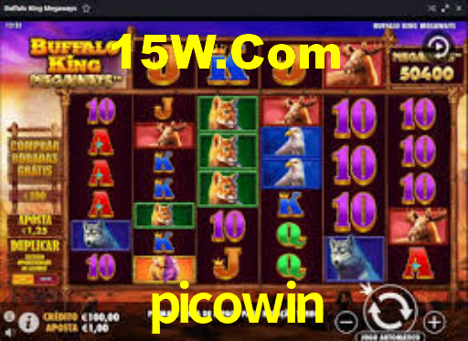 picowin,picowin.com